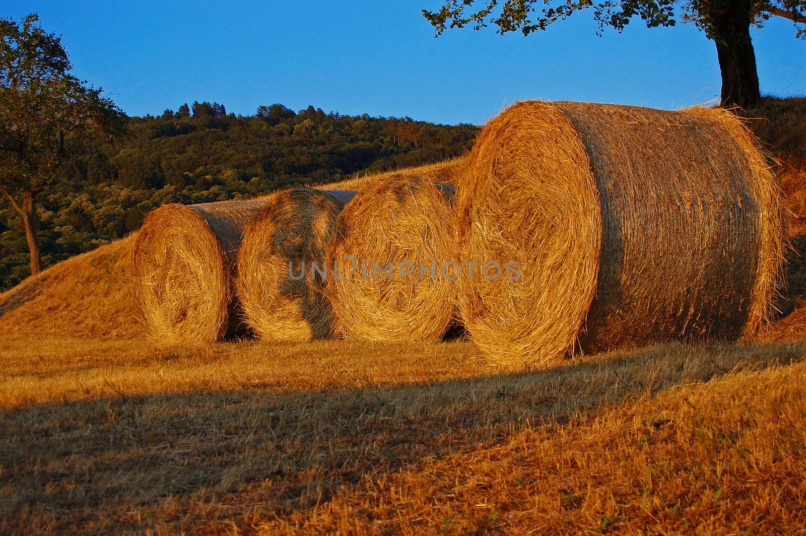 Hay bales in the mountains at sunset - Italy