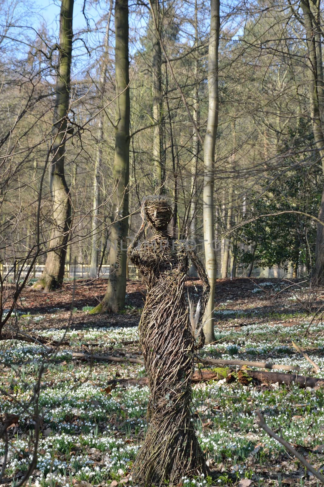 Figure of twigs in wood