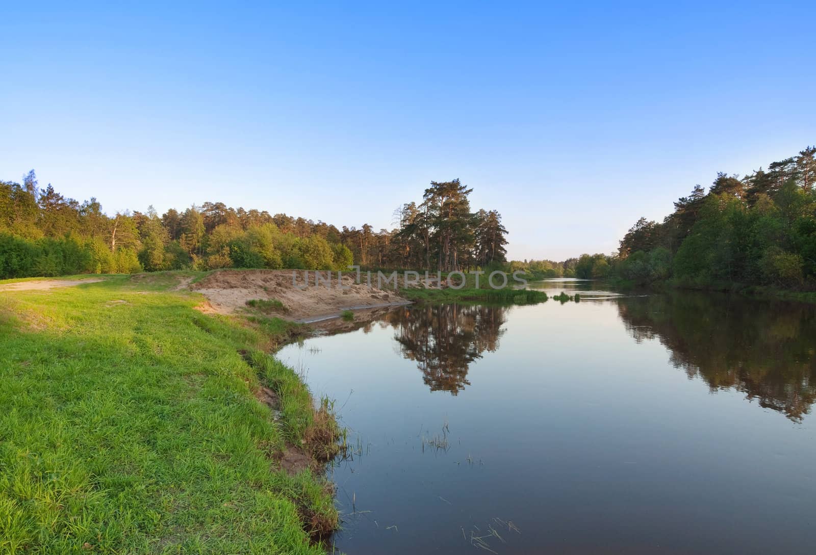 Forest landscape with clear blue sky and river by kvinoz