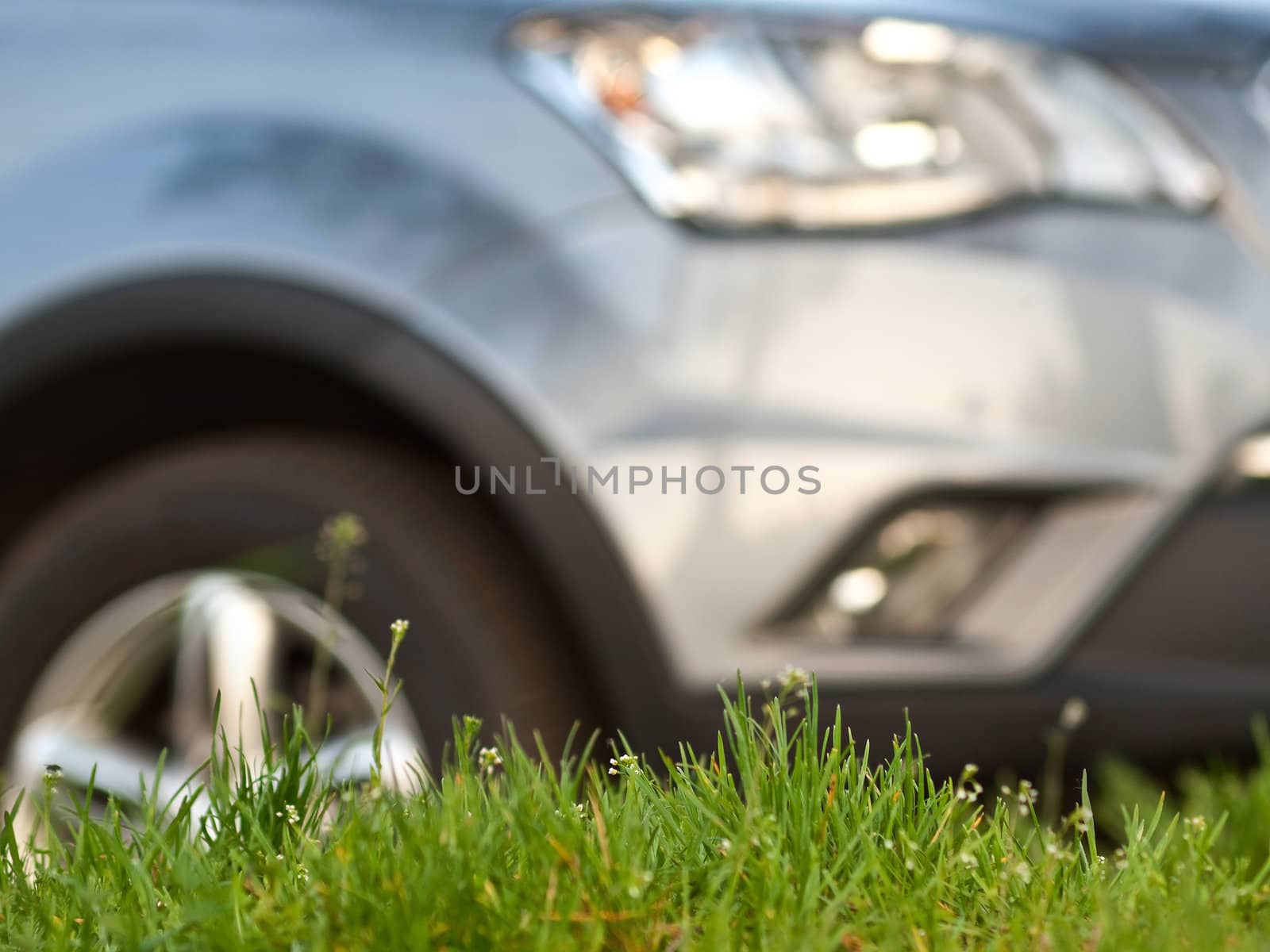 Car staying on green grass background