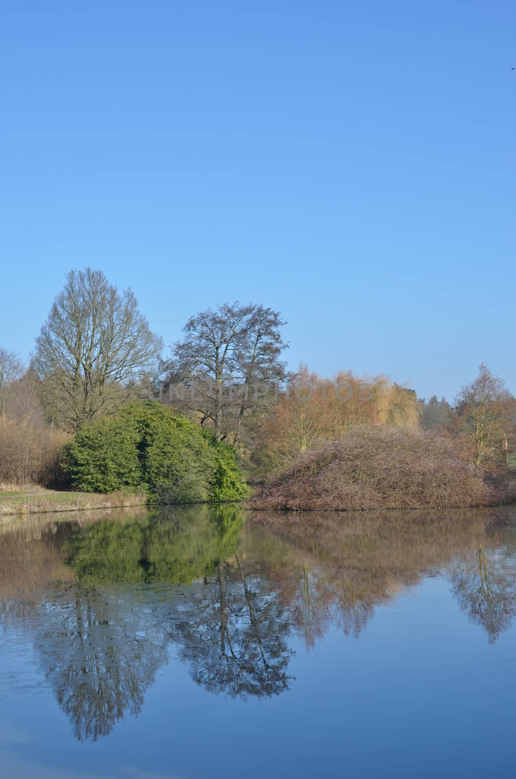 Winter lake in portrait aspect