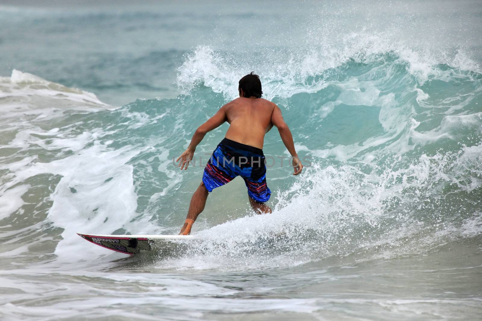 Surfer in ocean on sunset. Bali. Indonesia