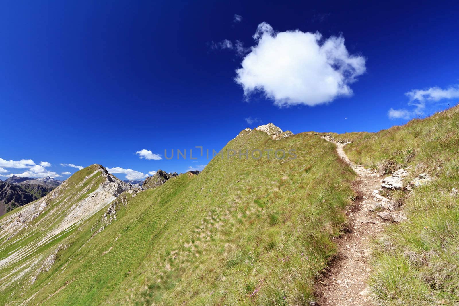 summer landscape of Italian Dolomites in San Pellegrino pass on a bright sunny day