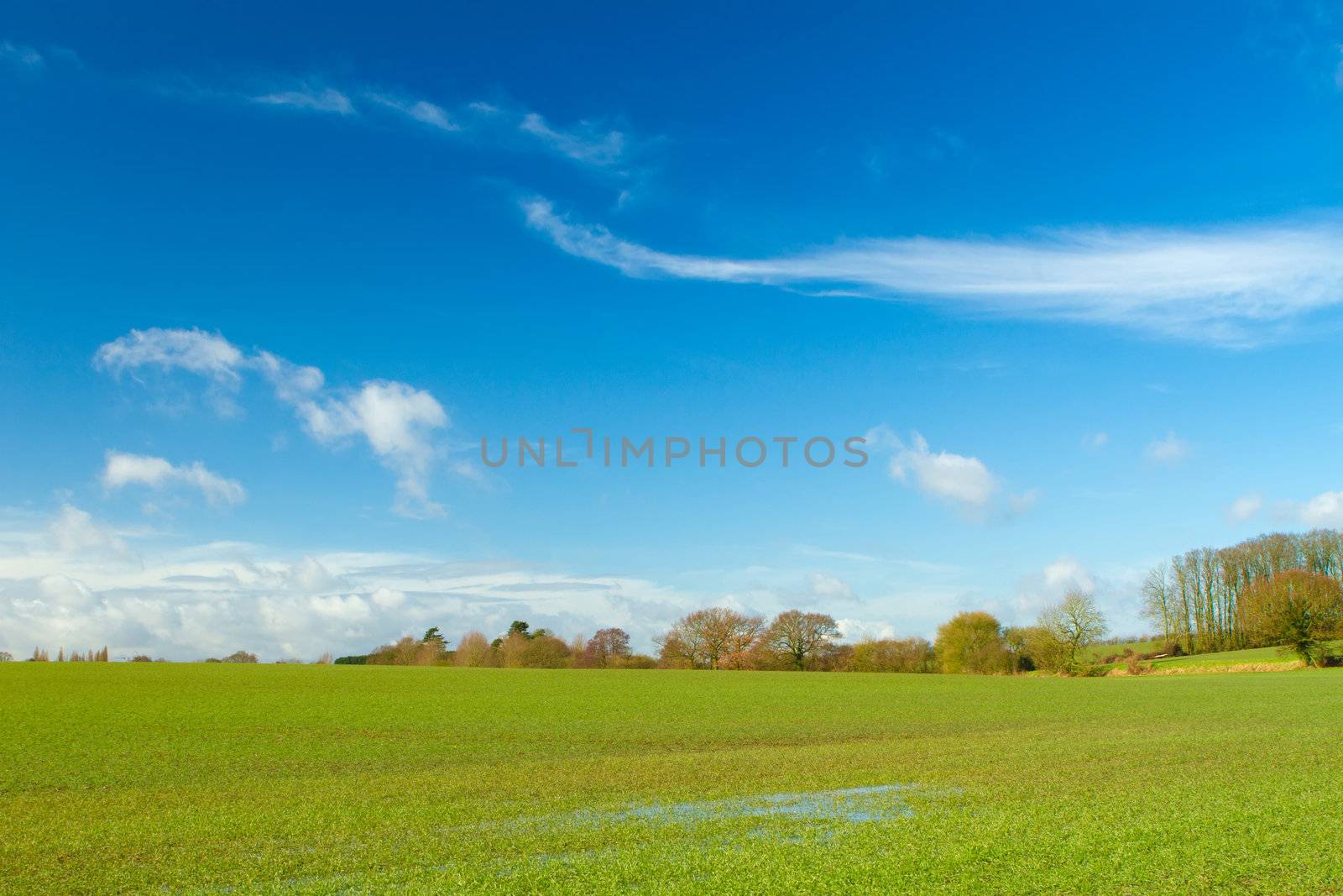 green field in english countryside