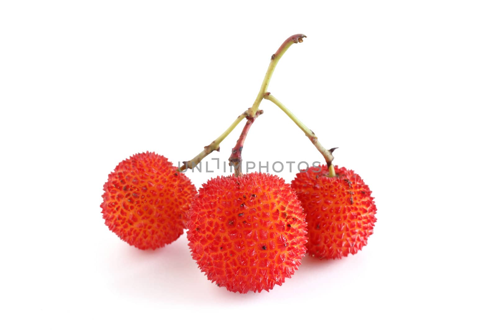 three ripe arbutus fruits over white background