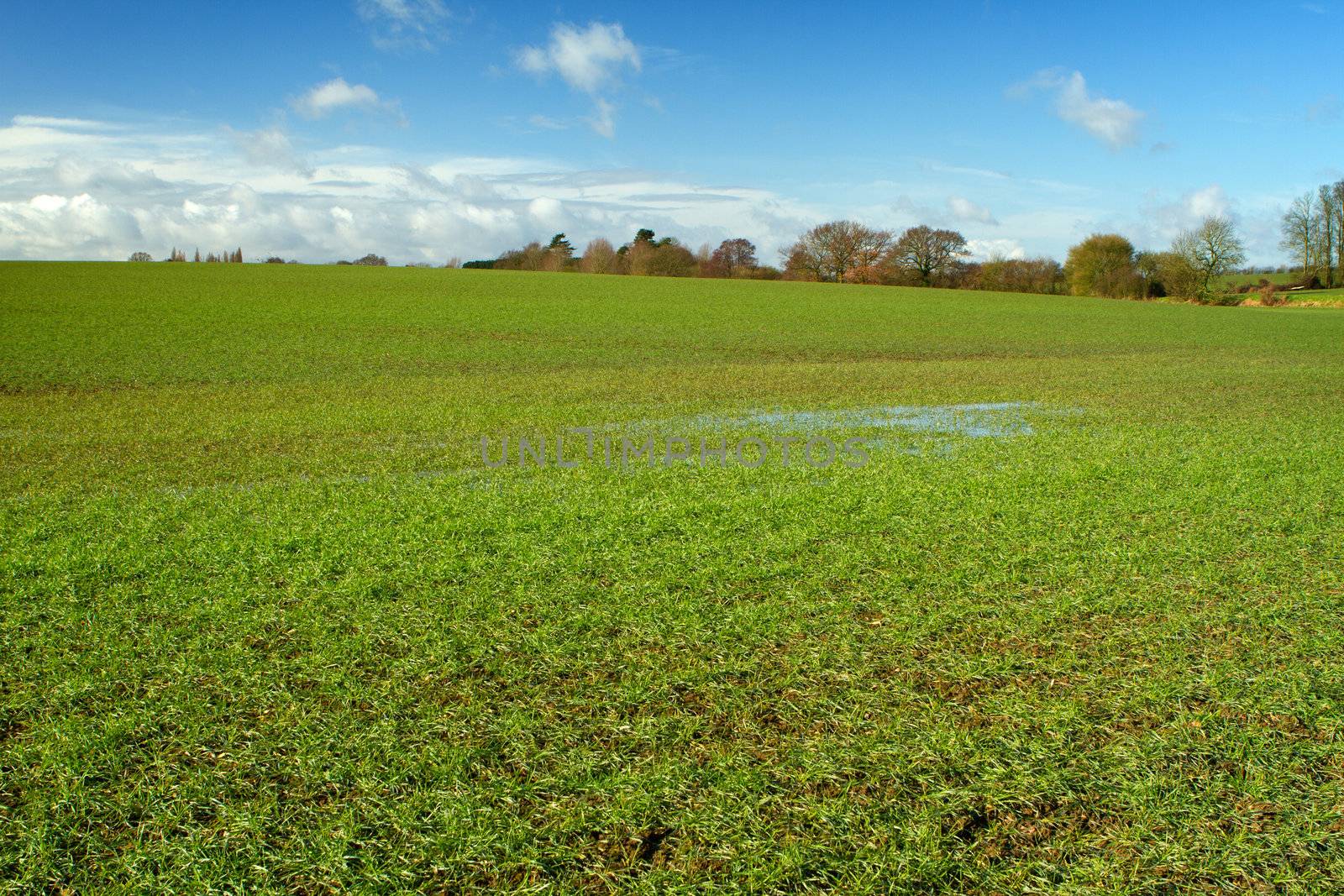 green field in english countryside with minor flooding