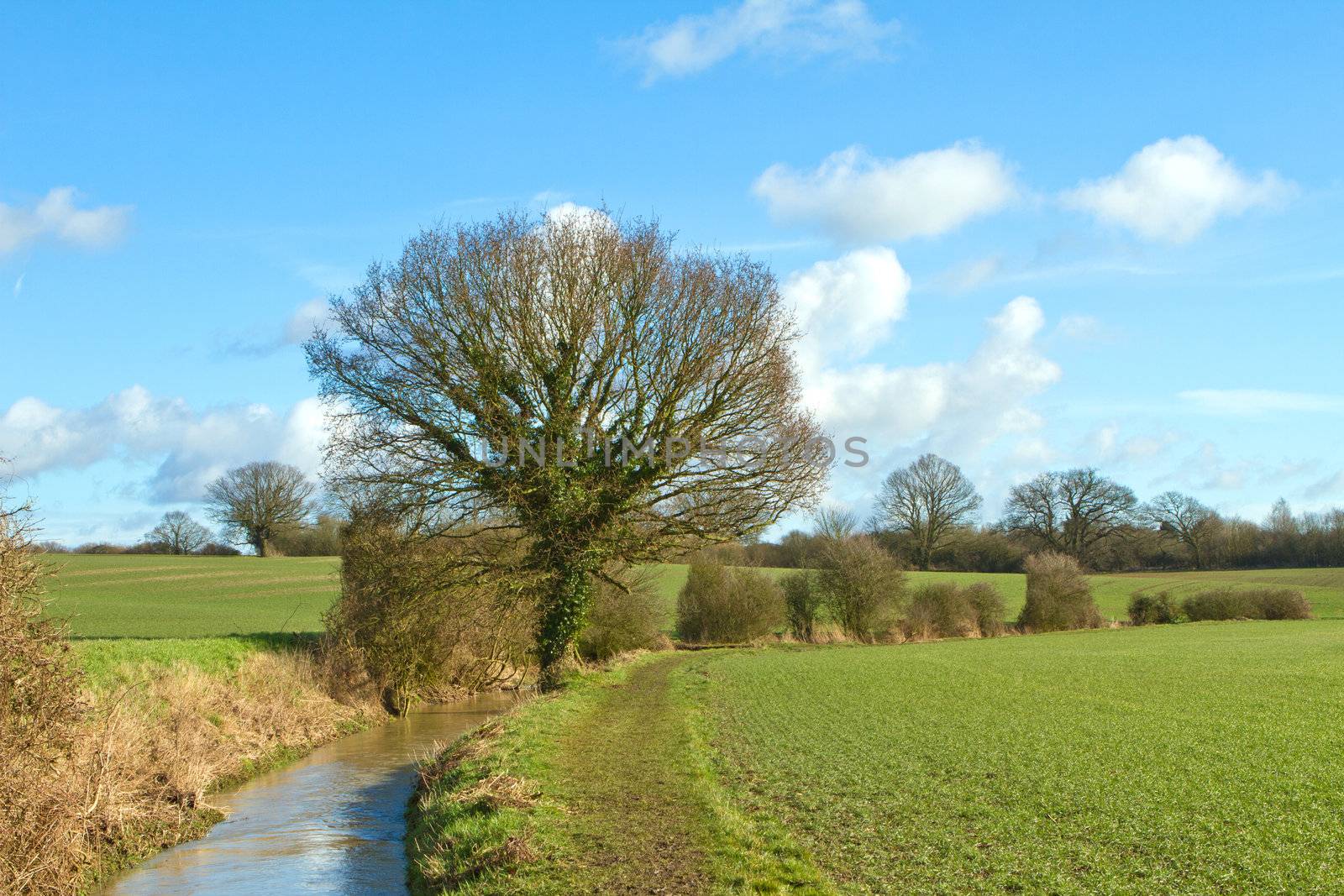 river running through english countryside