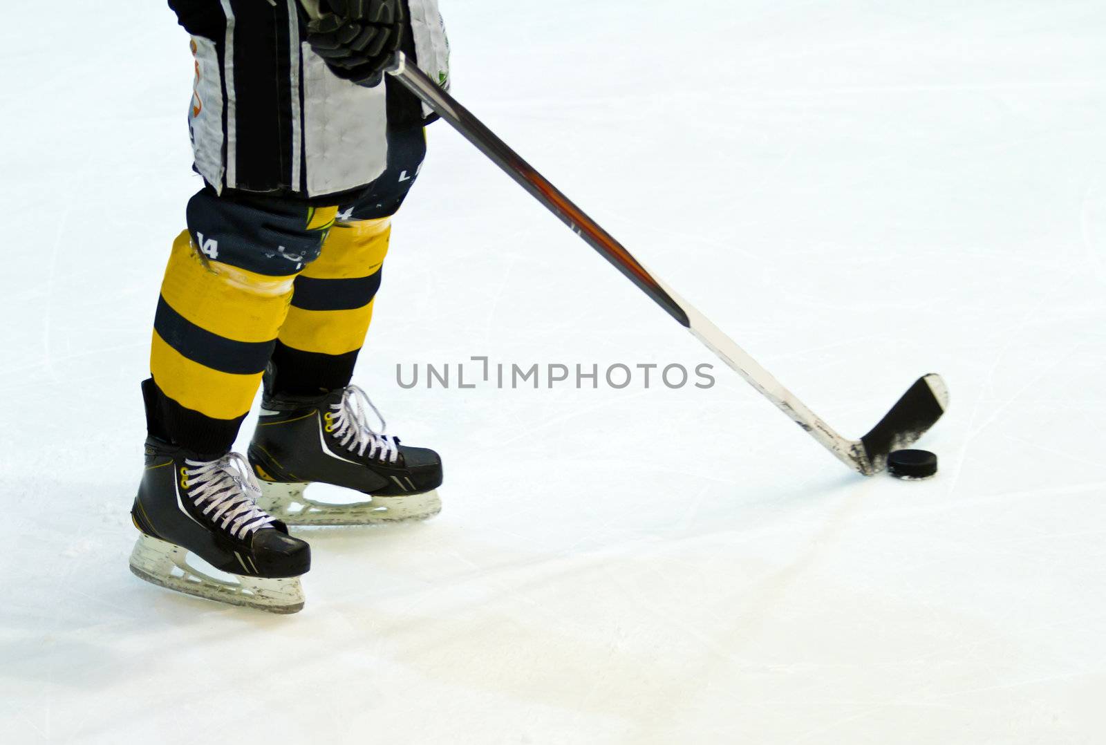 hockey player  by lsantilli