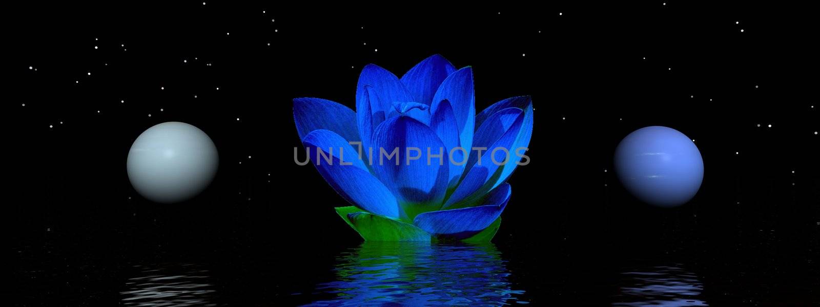 water lily and planets and sky