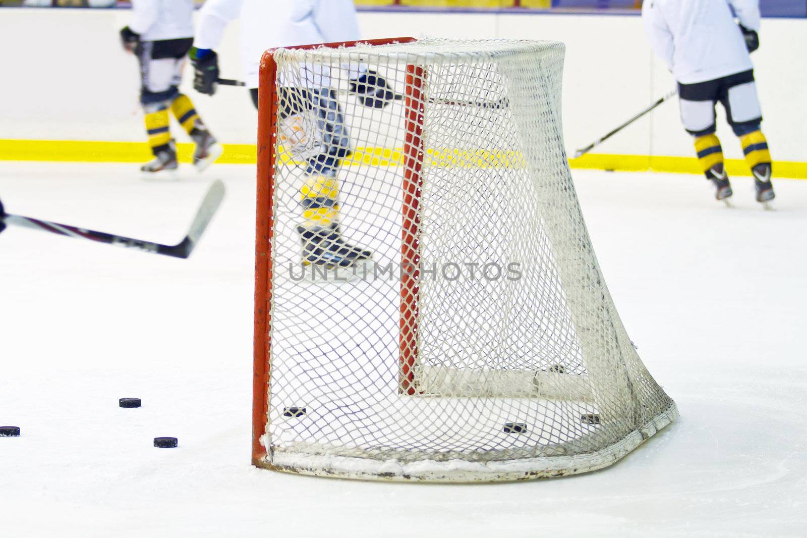 hockey net  by lsantilli