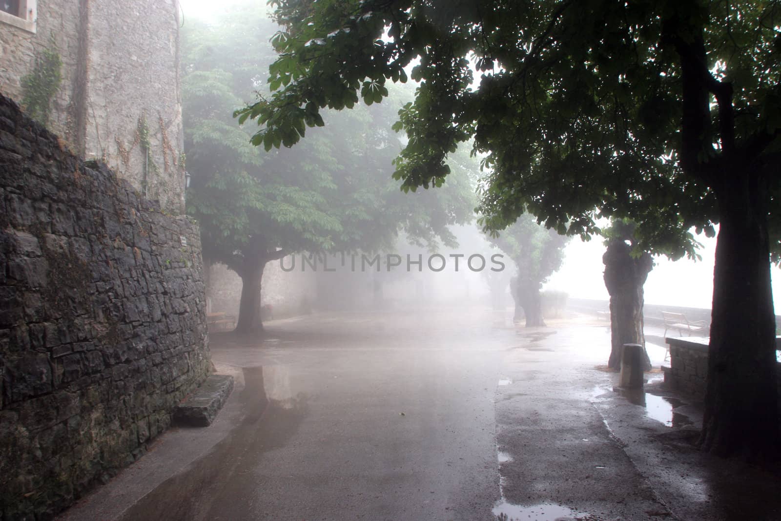 Street in small town Groznjan in Istra, Croatia