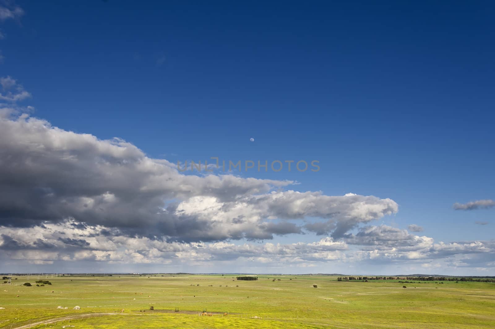 Vast plains of the Alentejo country in spring, Portugal