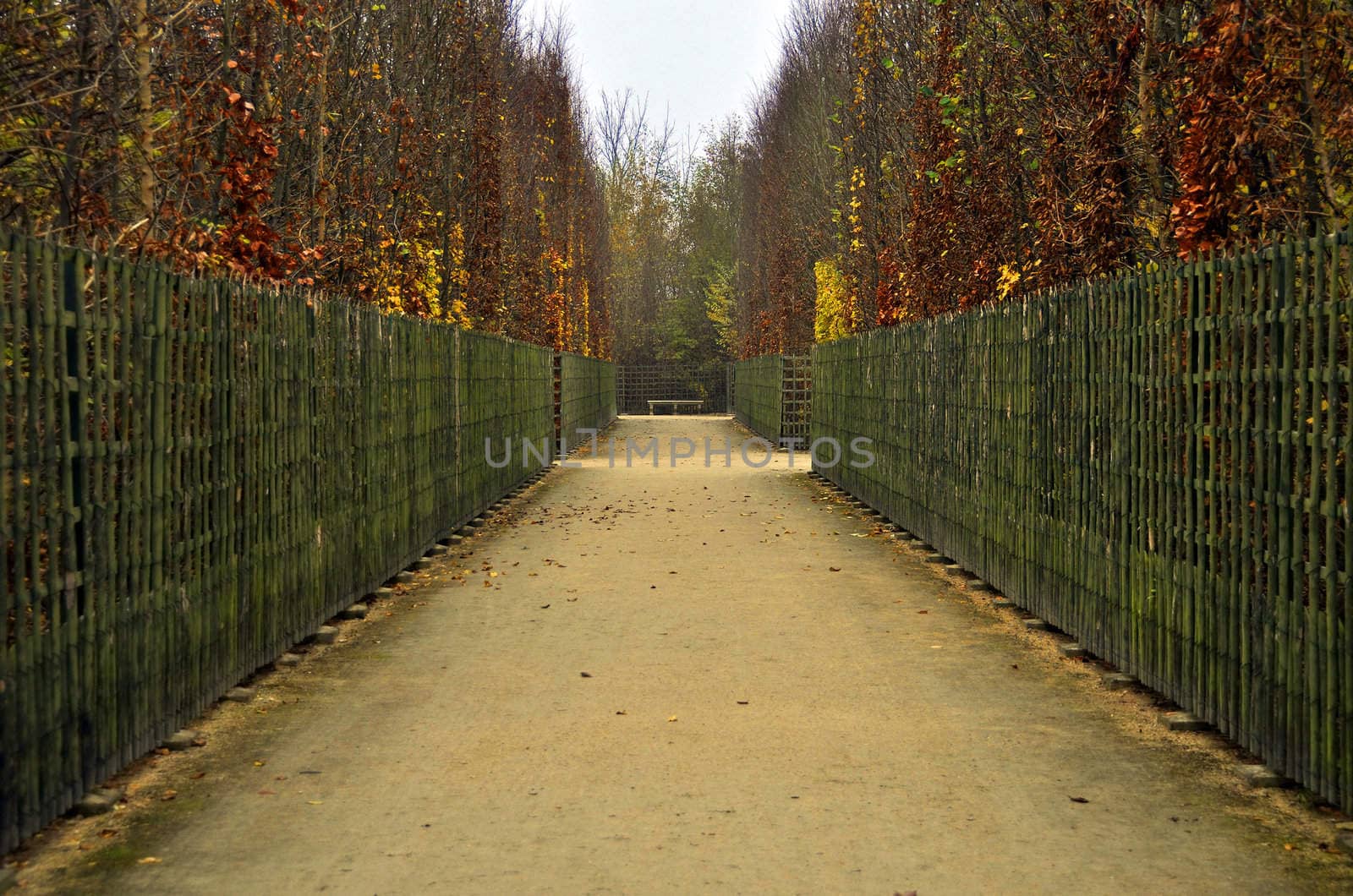 Footpath in autumn, Versailles gardens, France