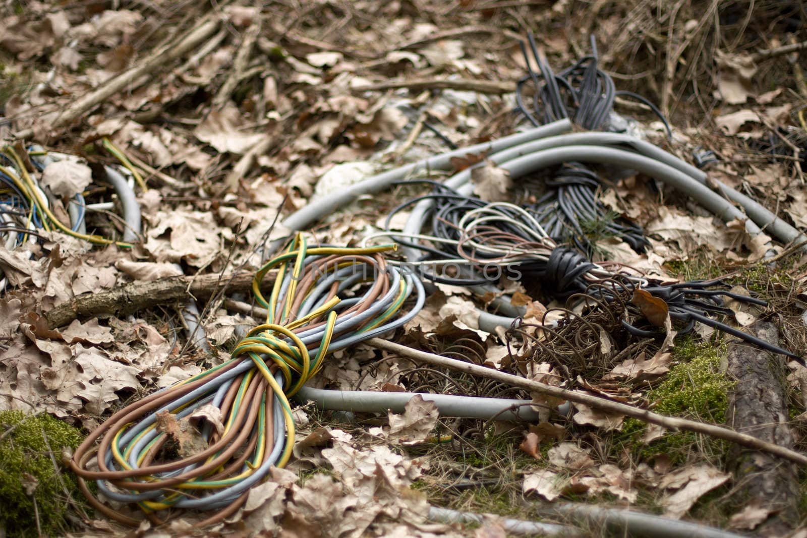 Wires rubbish in forest, Lubuskie Poland.
