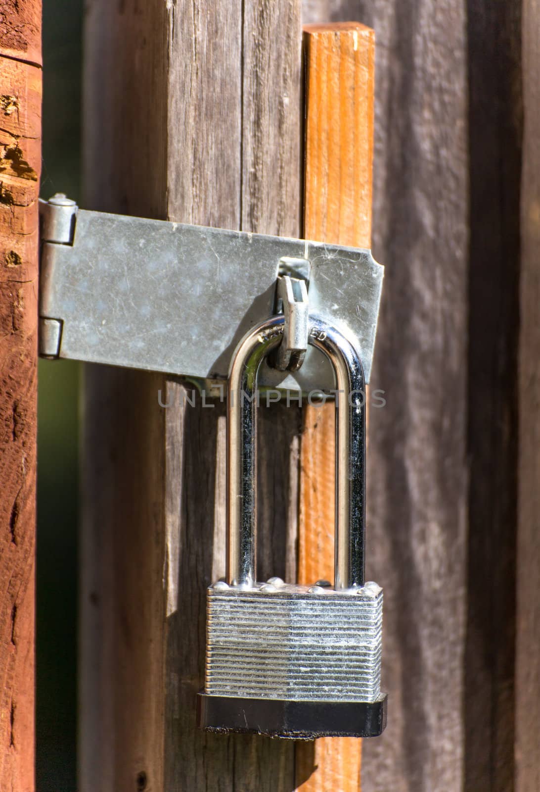 A Closed Wood Gate is Protected by a Strong Lock Close-up.