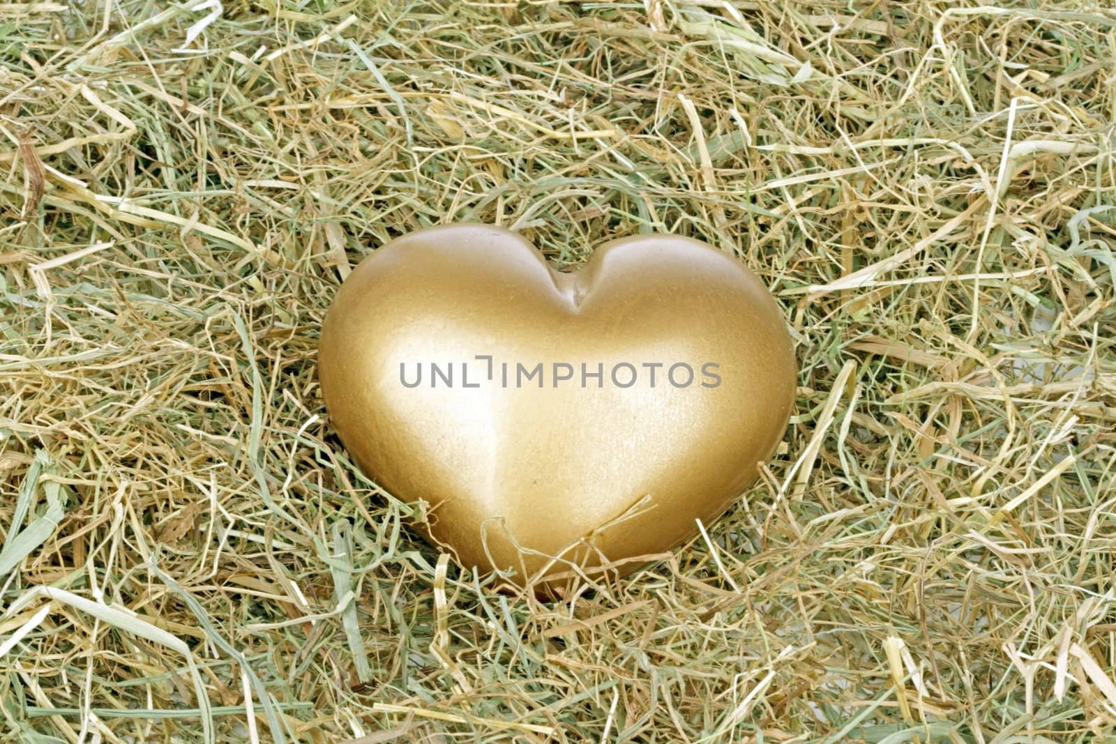 Golden heart in a bed from straw