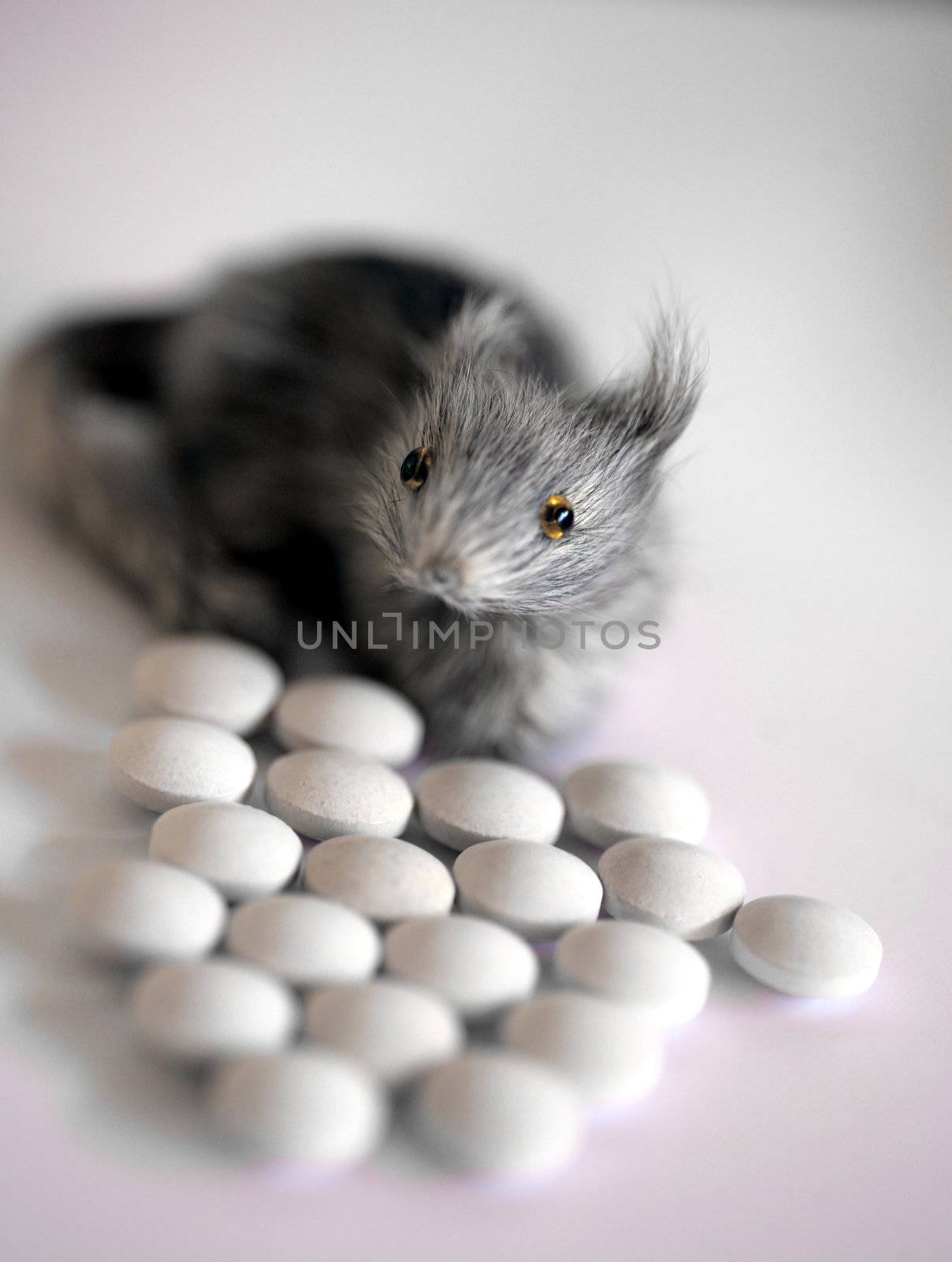 pills, many pills! medicine, drug