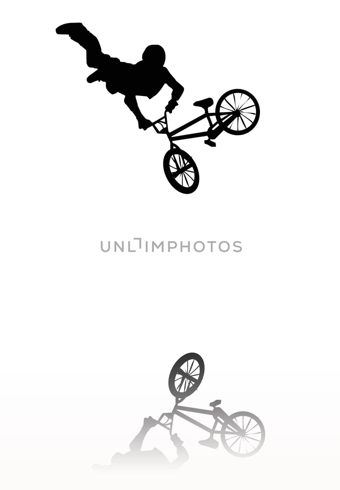 BMX Silhouette by Kitch