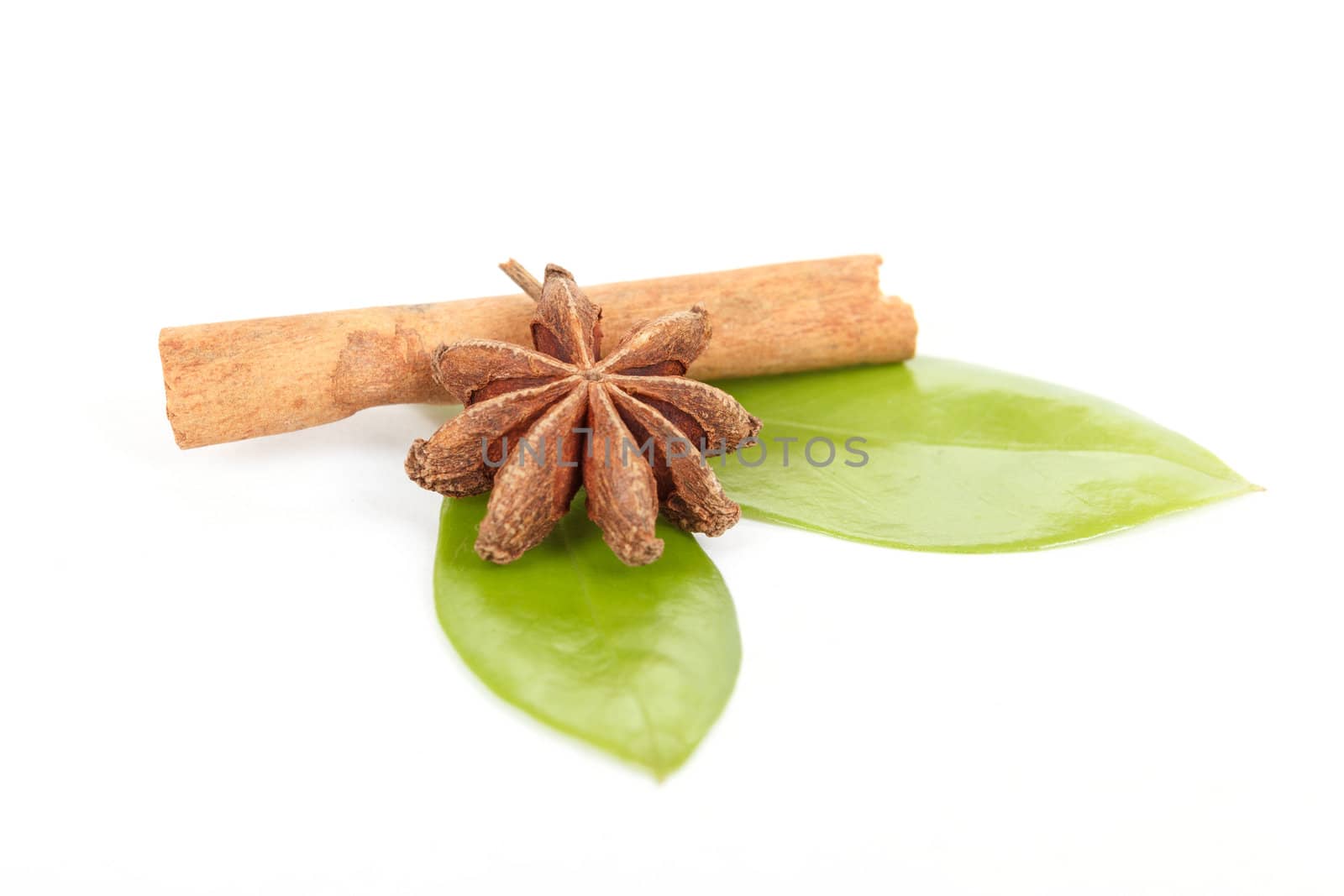 Star Anise, cinnamon and green leave isolated on white background 