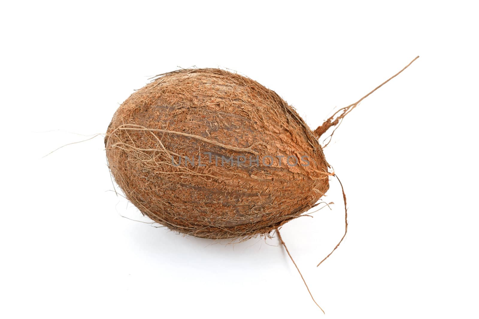 close up view of coconut on a white background 