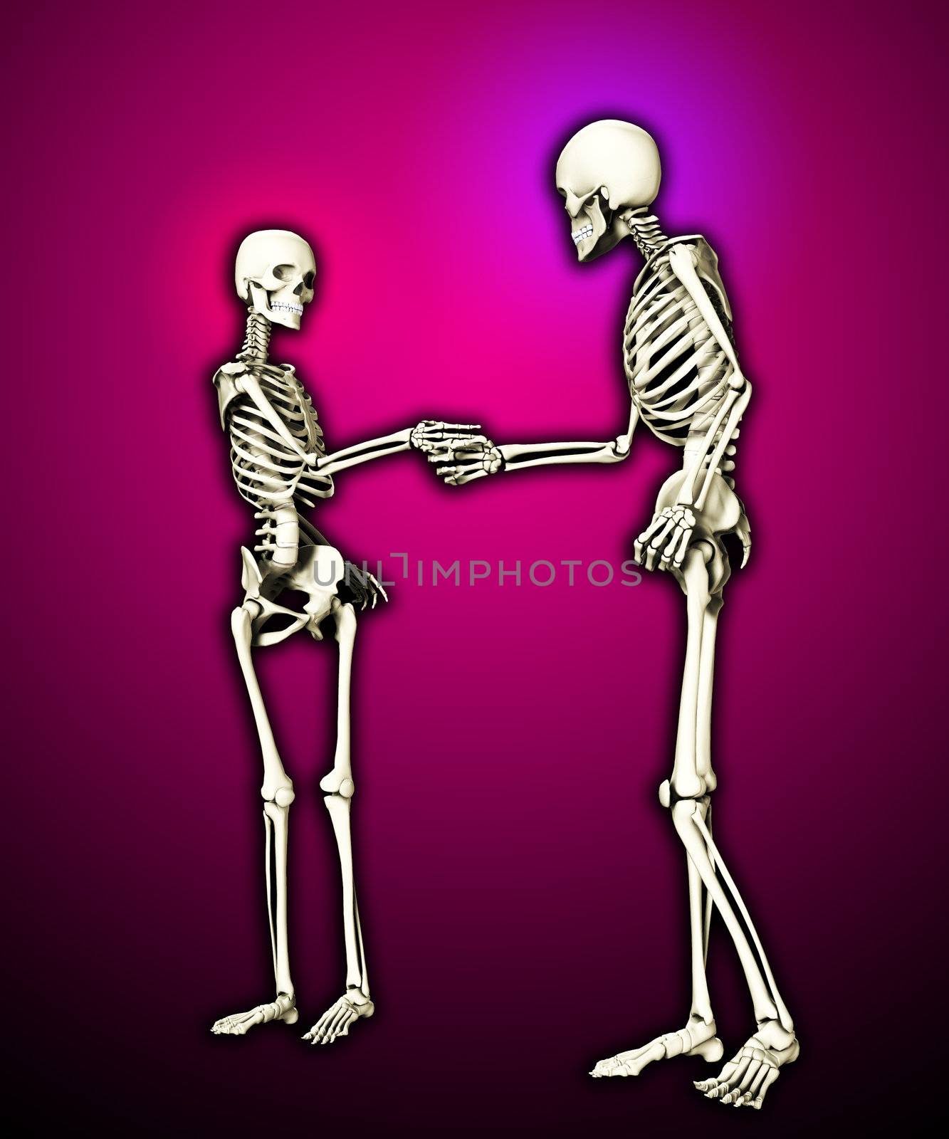 Pair of skeletons shaking hands when meeting each other.
