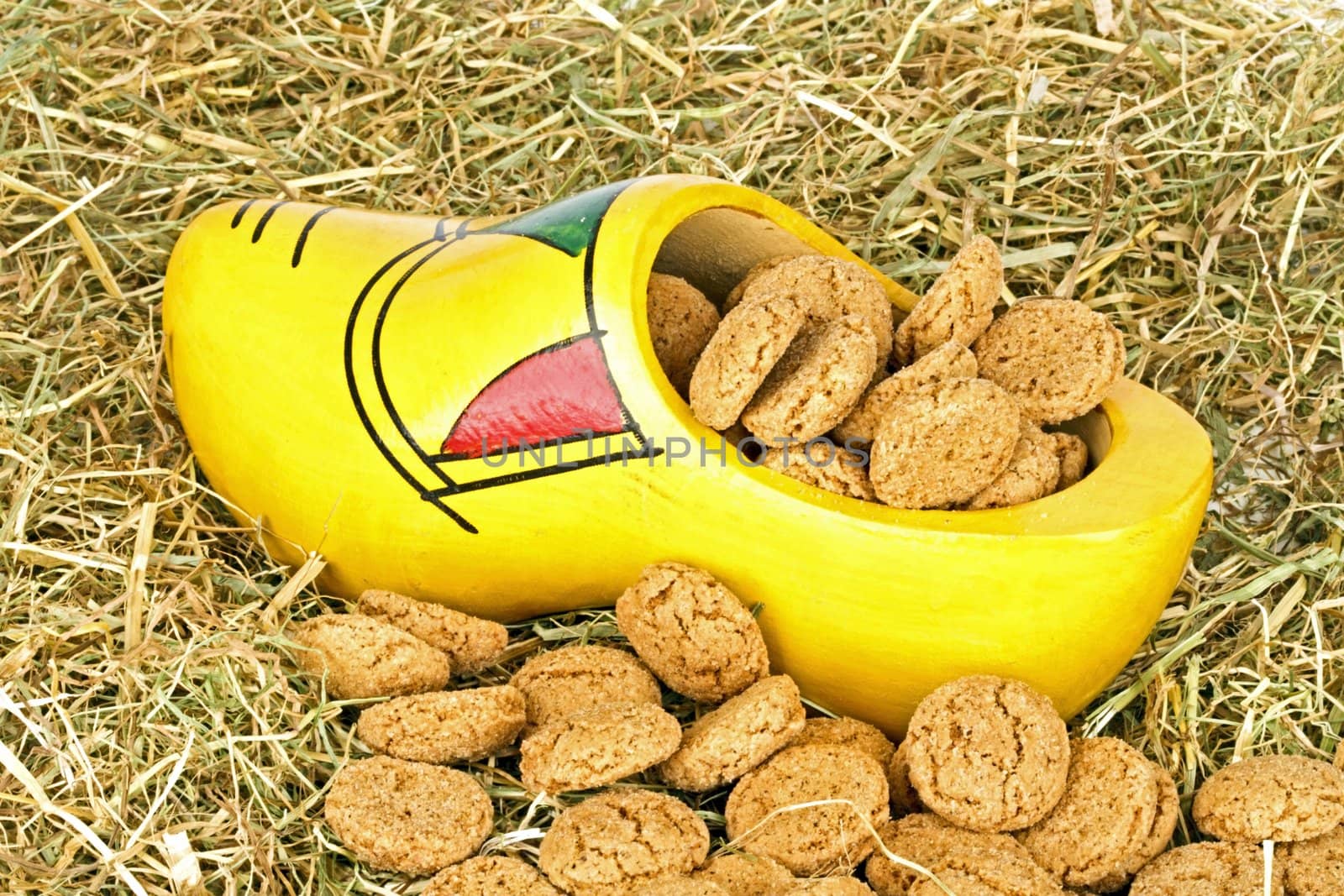 Traditional dutch wooden clog with  gingernuts in straw for 5 december santa claus feast in the Netherlands