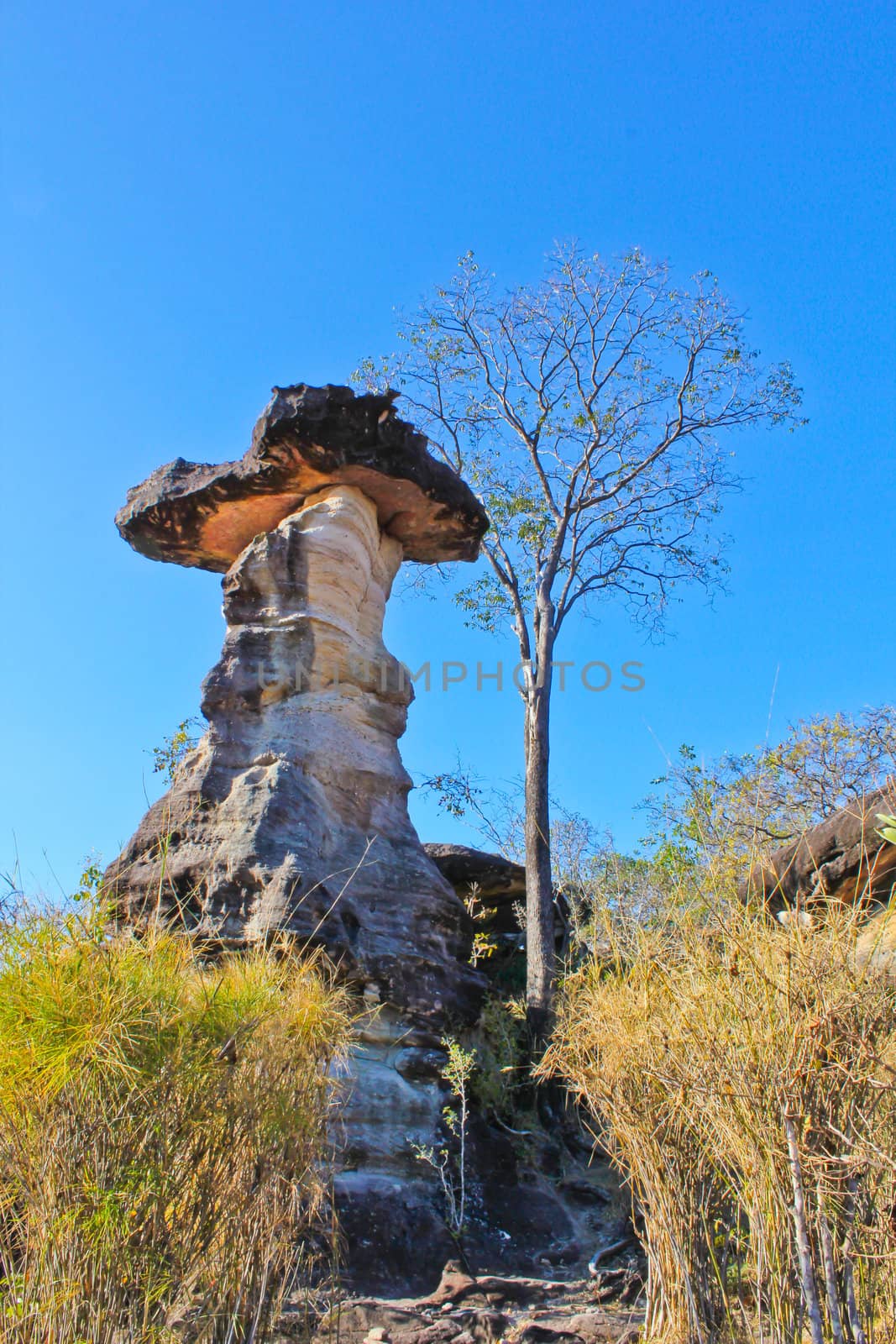 Stone column in northeast Thailand
