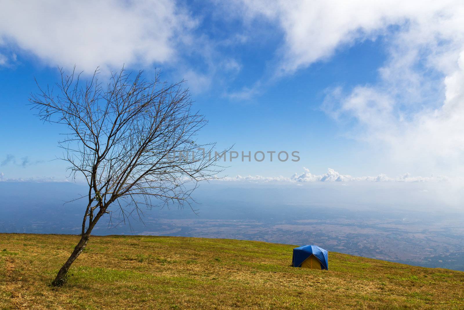 Tent on a grass under white clouds and blue sky