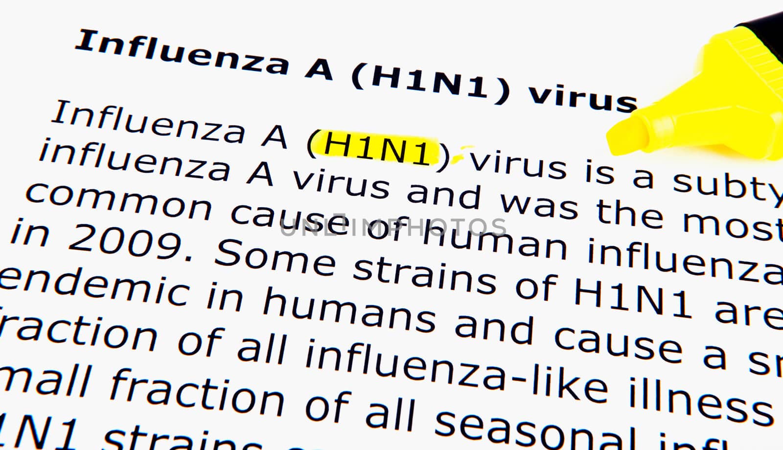 Images of the H1N1 Influenza Virus