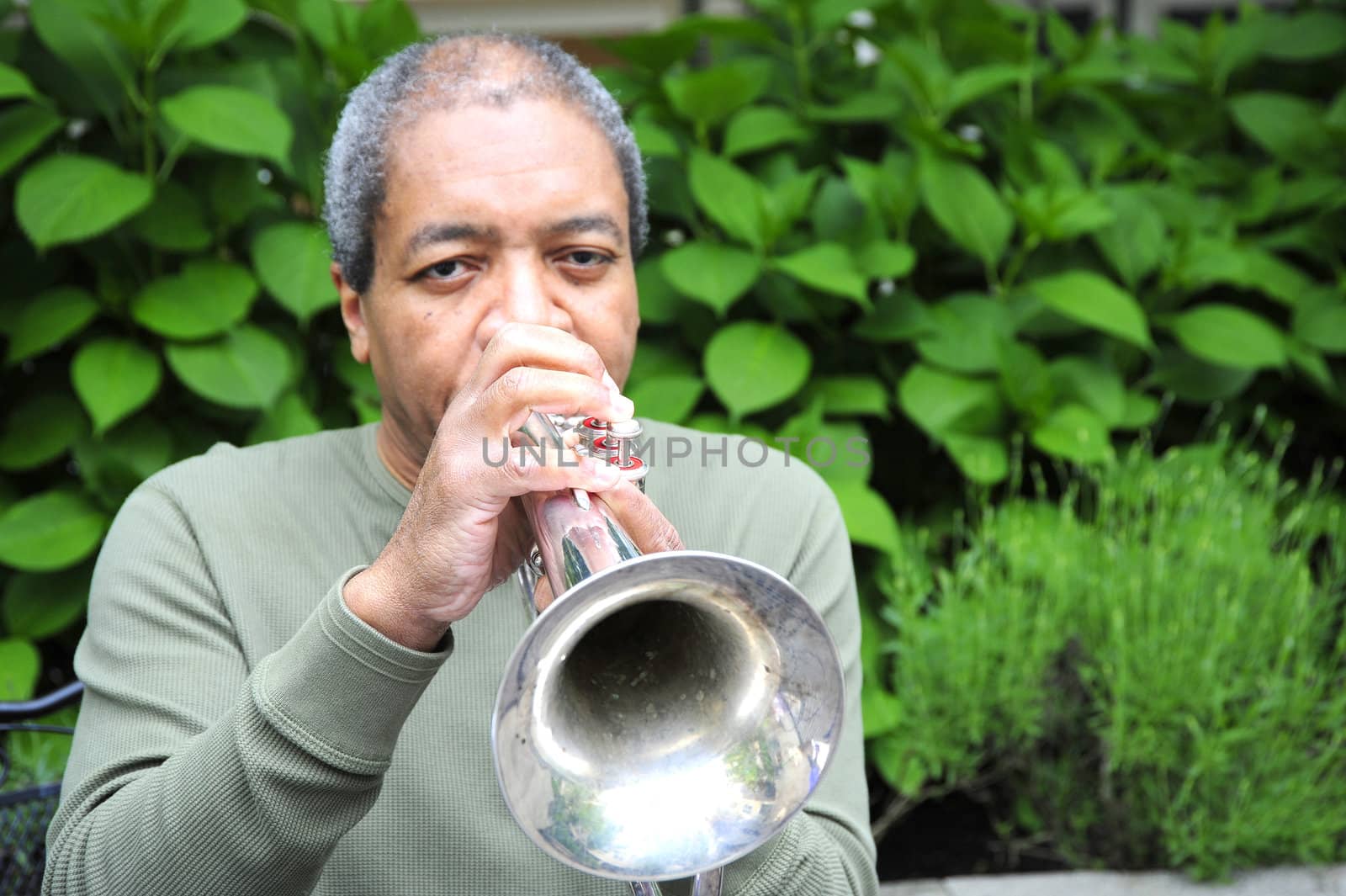 African american male jazz musician with his flugelhorn.