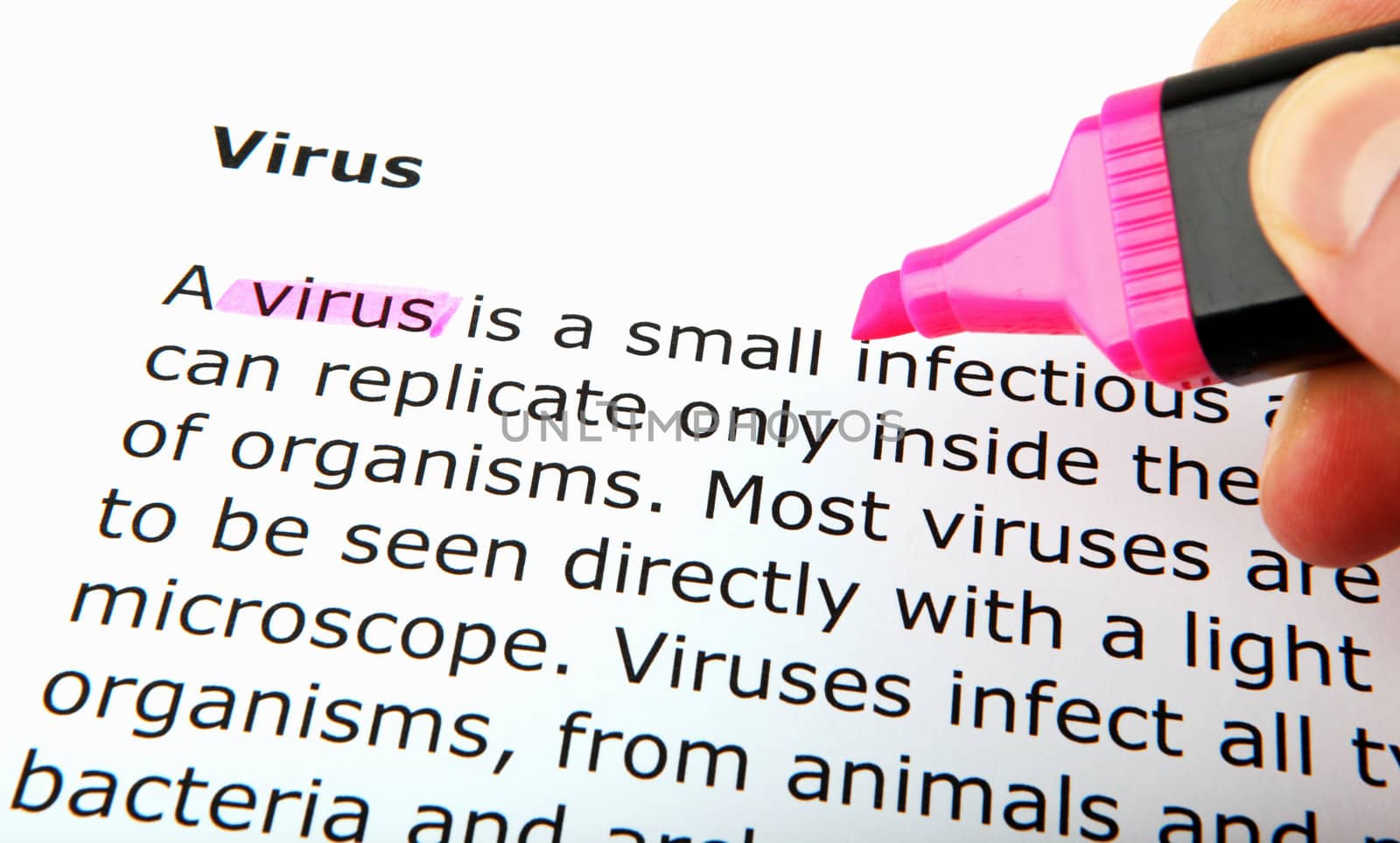 Virus