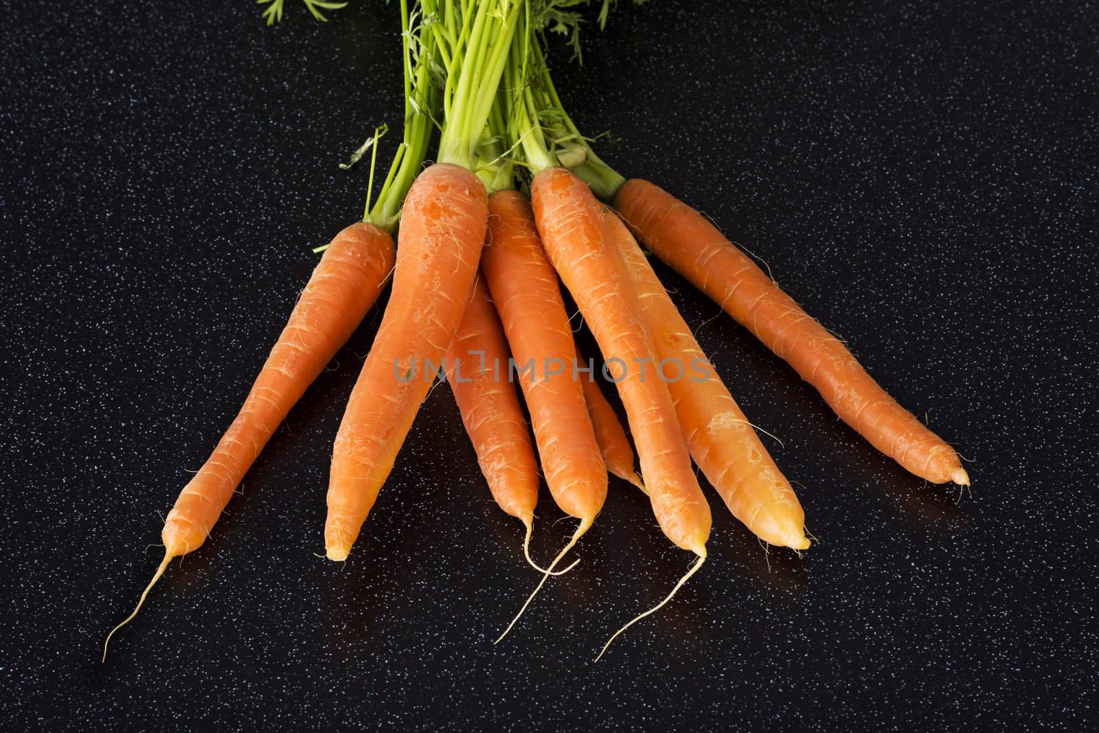 Fresh carrots bunch by BDS
