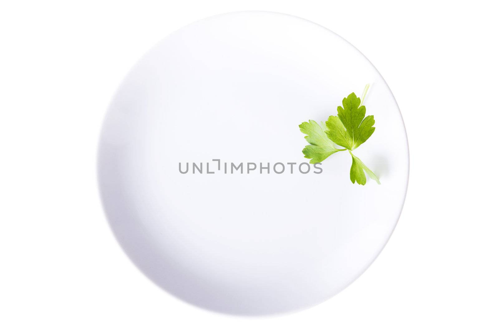 Parsley on plate, isolated on white