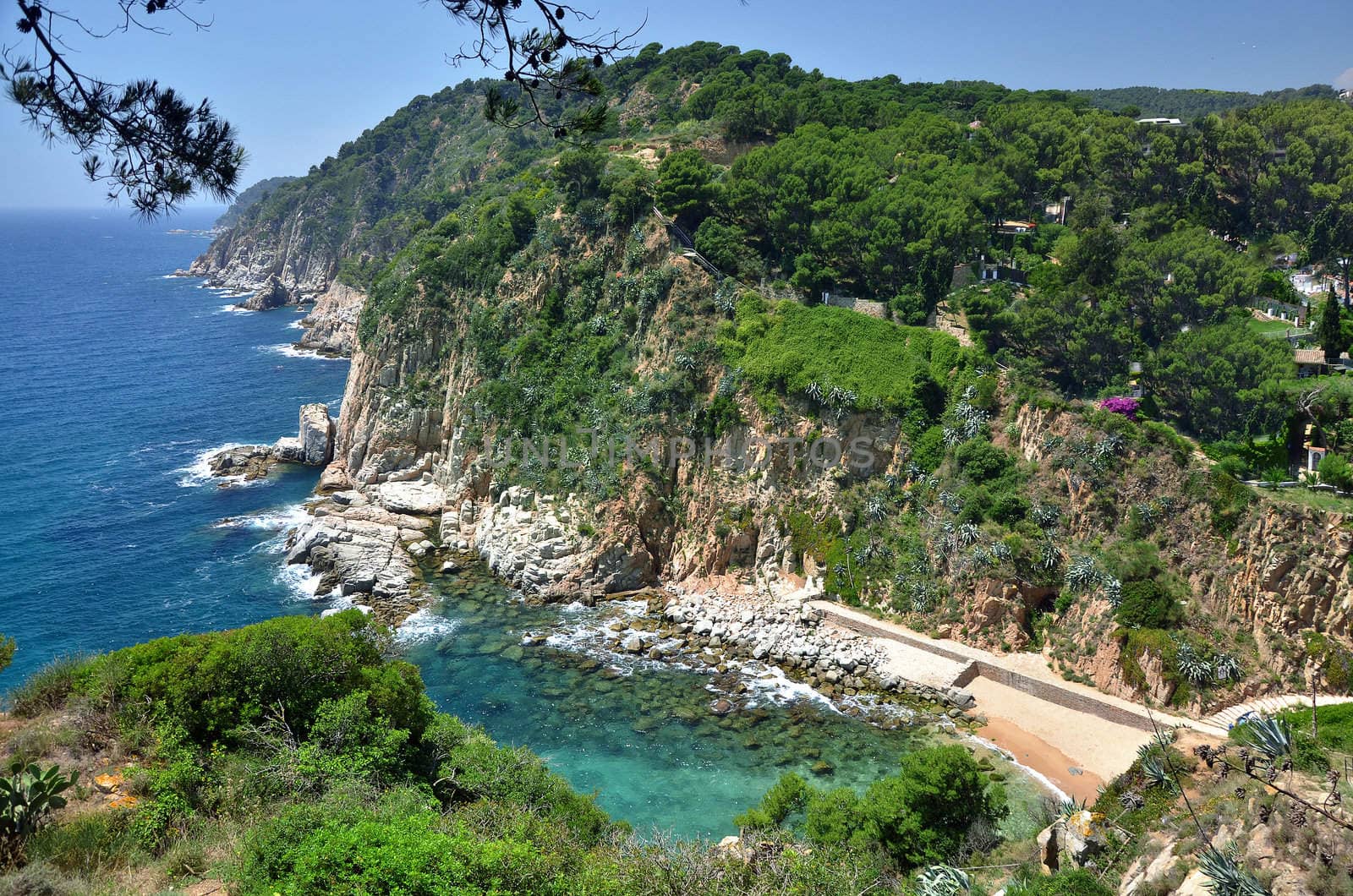 Mediterranean seascape with clear and transparent water, some coastal pines, rocks