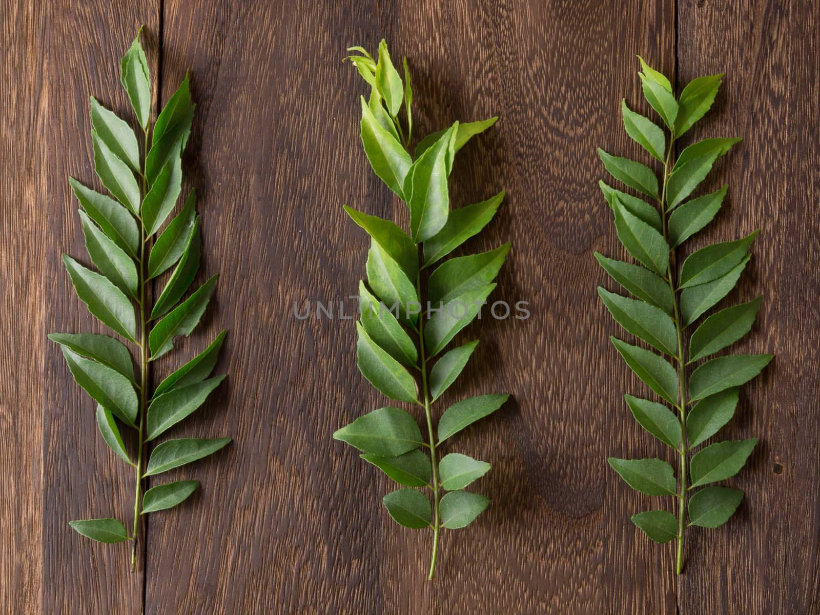 close up of  fresh indian curry leaves