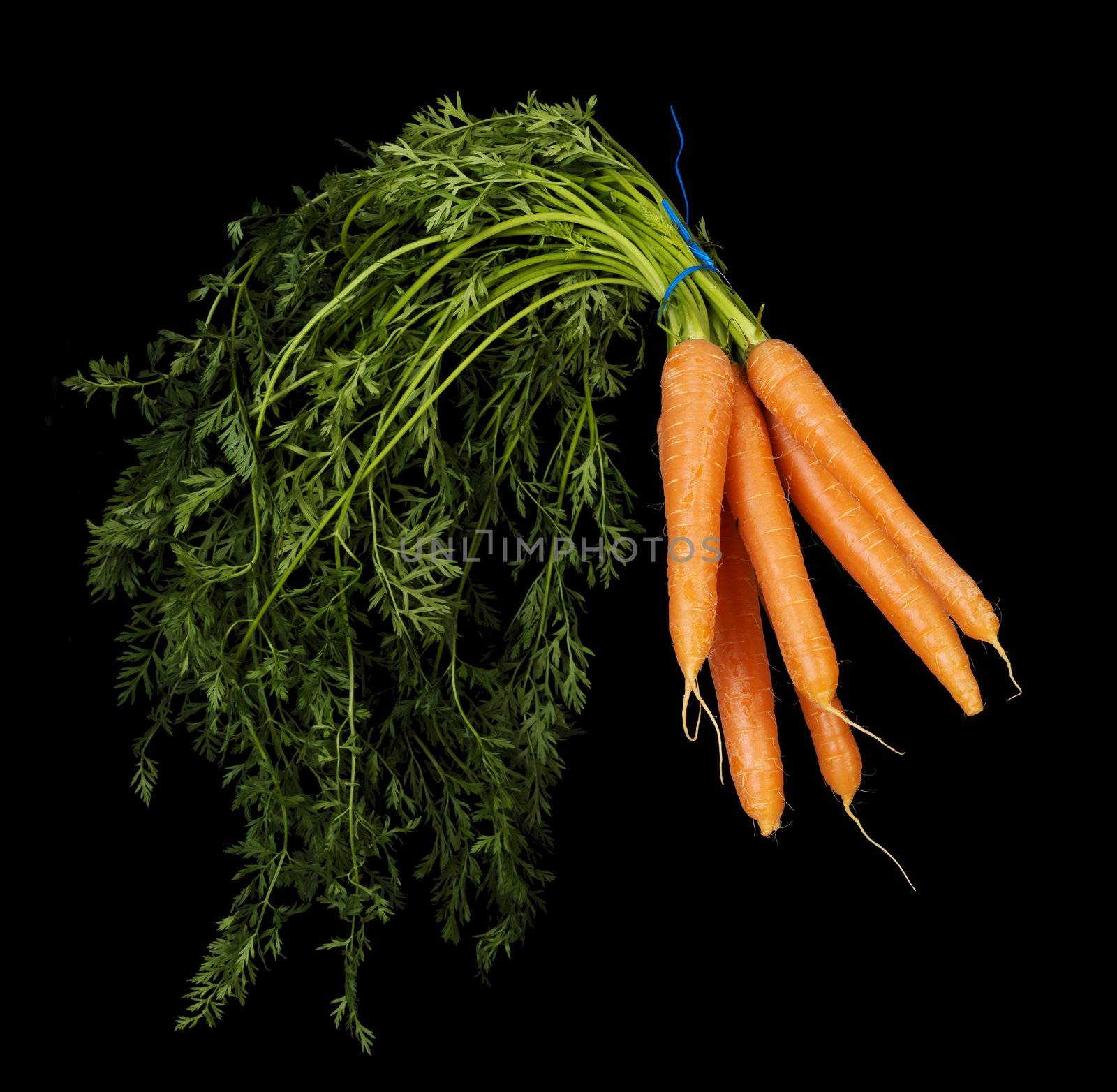 Bunch of carrots