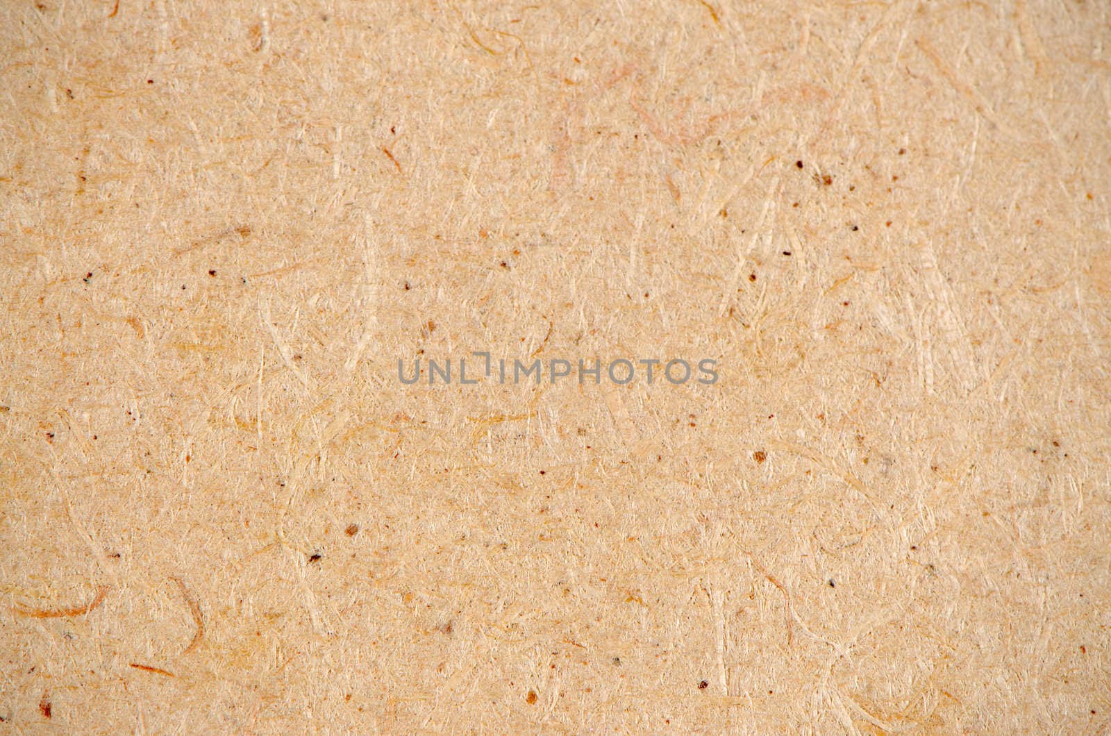 Extreme macro background of made wood.
