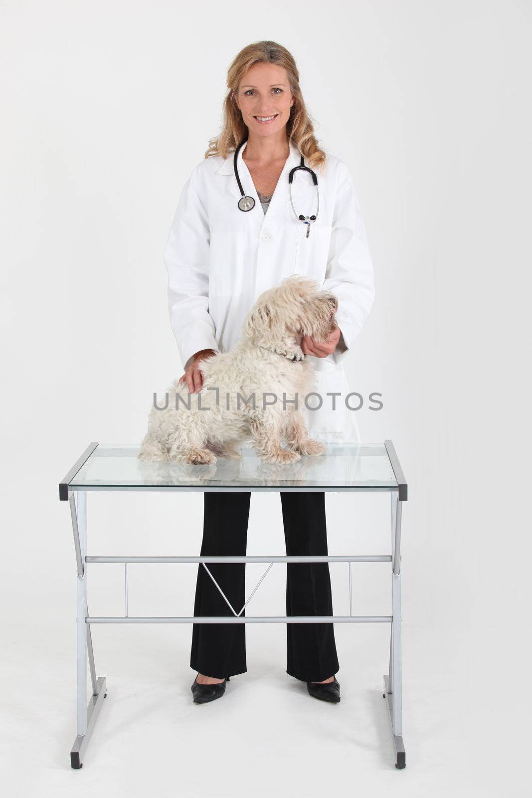 Female vet treating dog