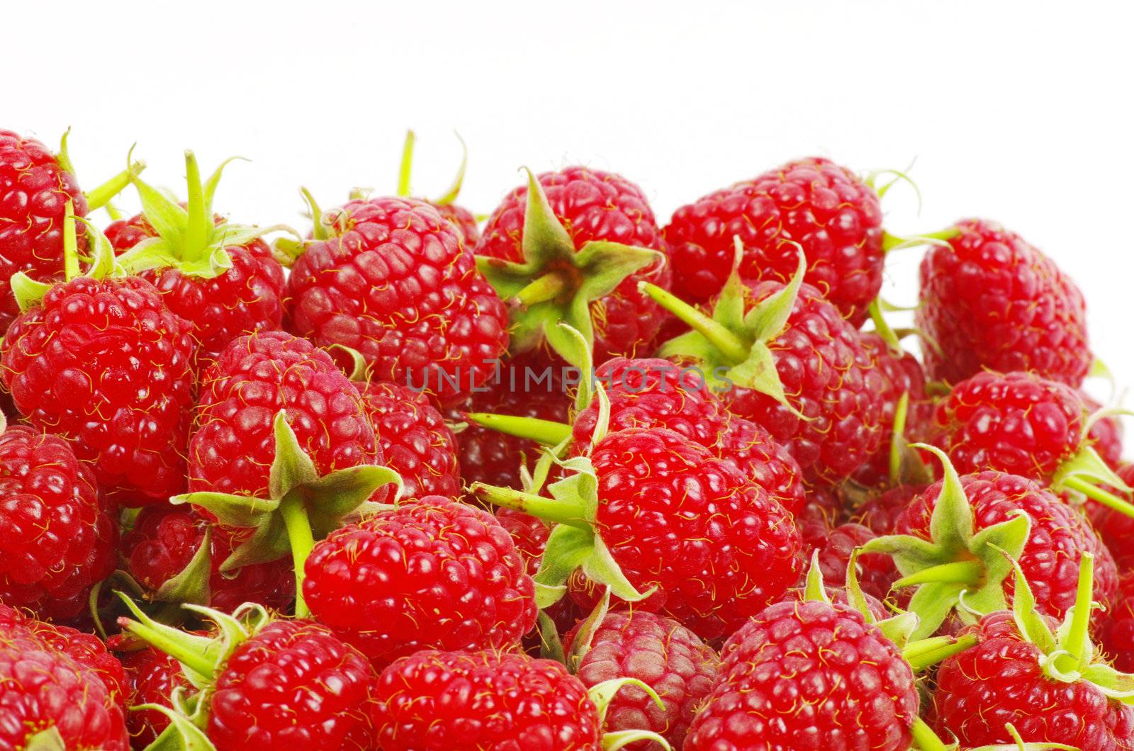 fresh raspberry closeup isolated on white background