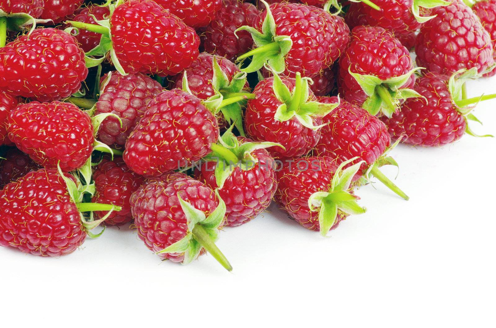  raspberry closeup isolated on white background