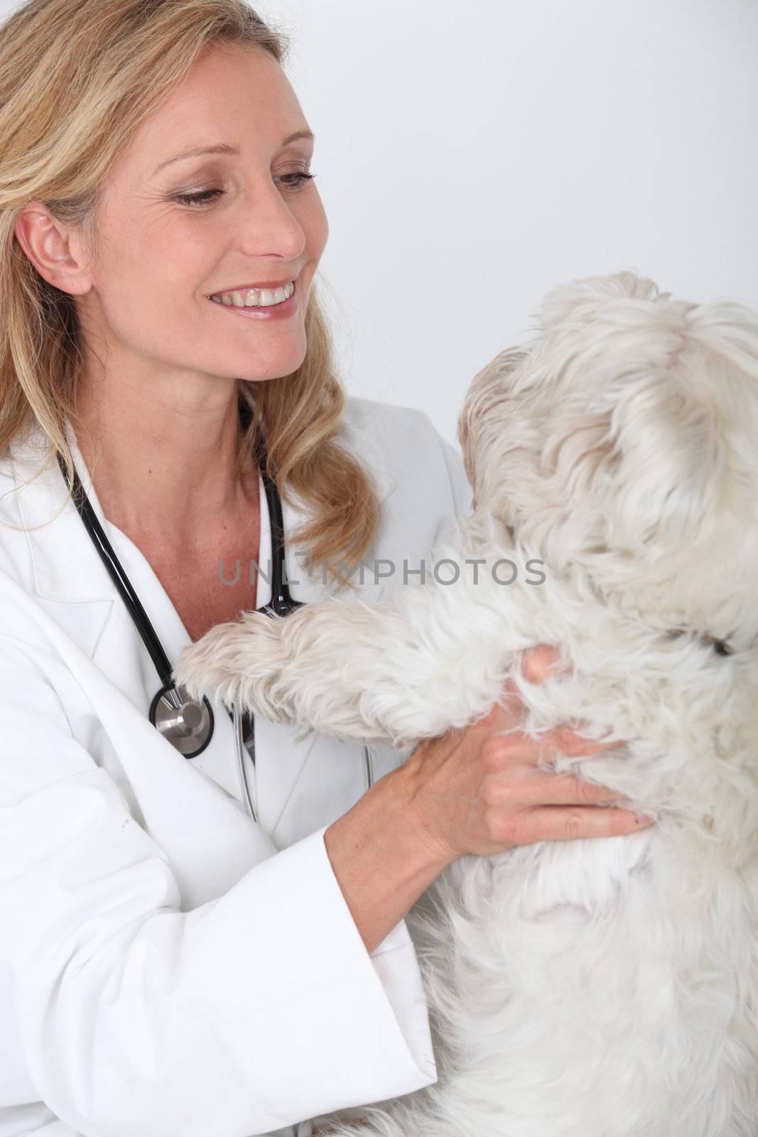 veterinarian with dog by phovoir