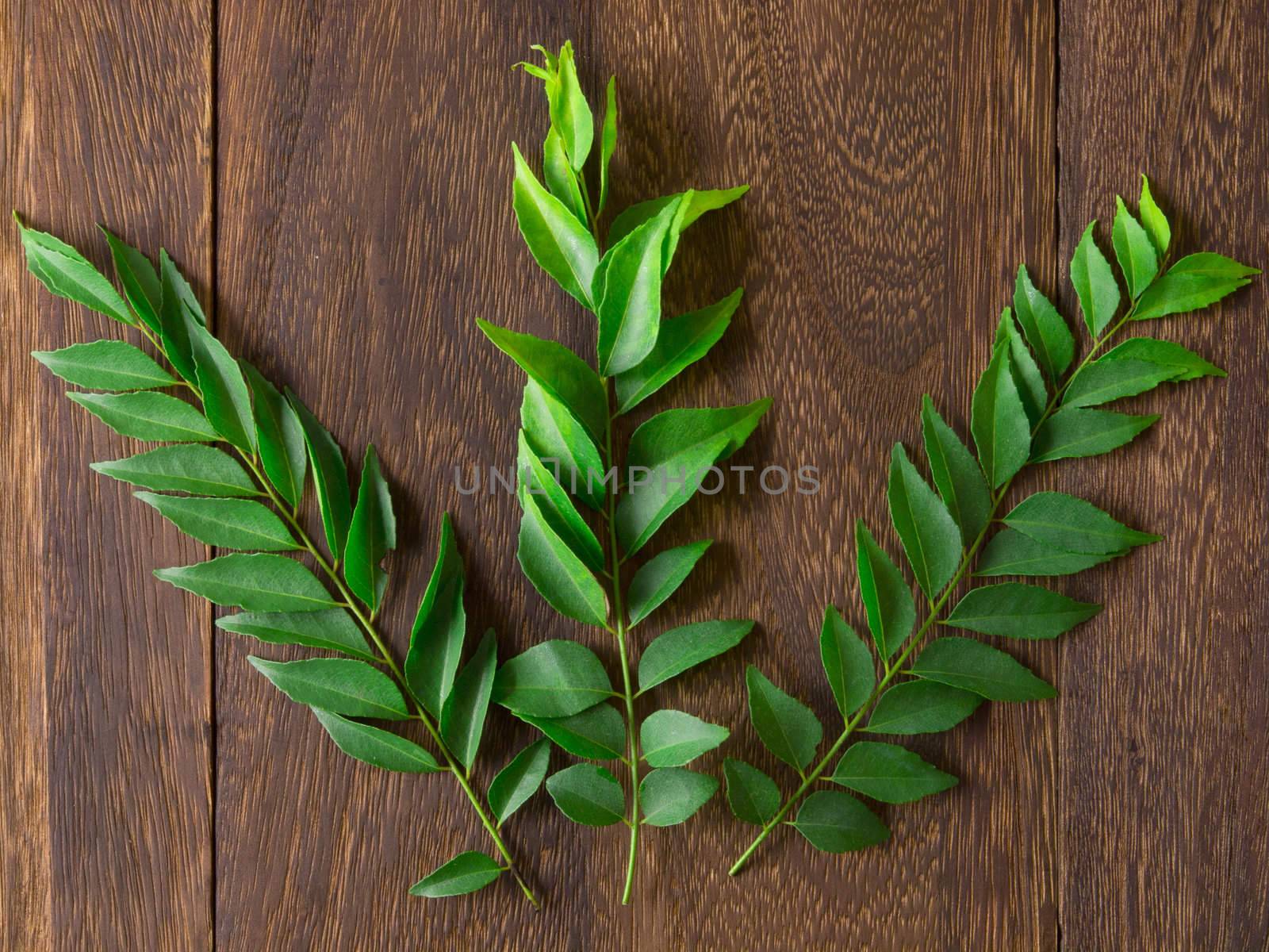 close up of fresh indian curry leaves