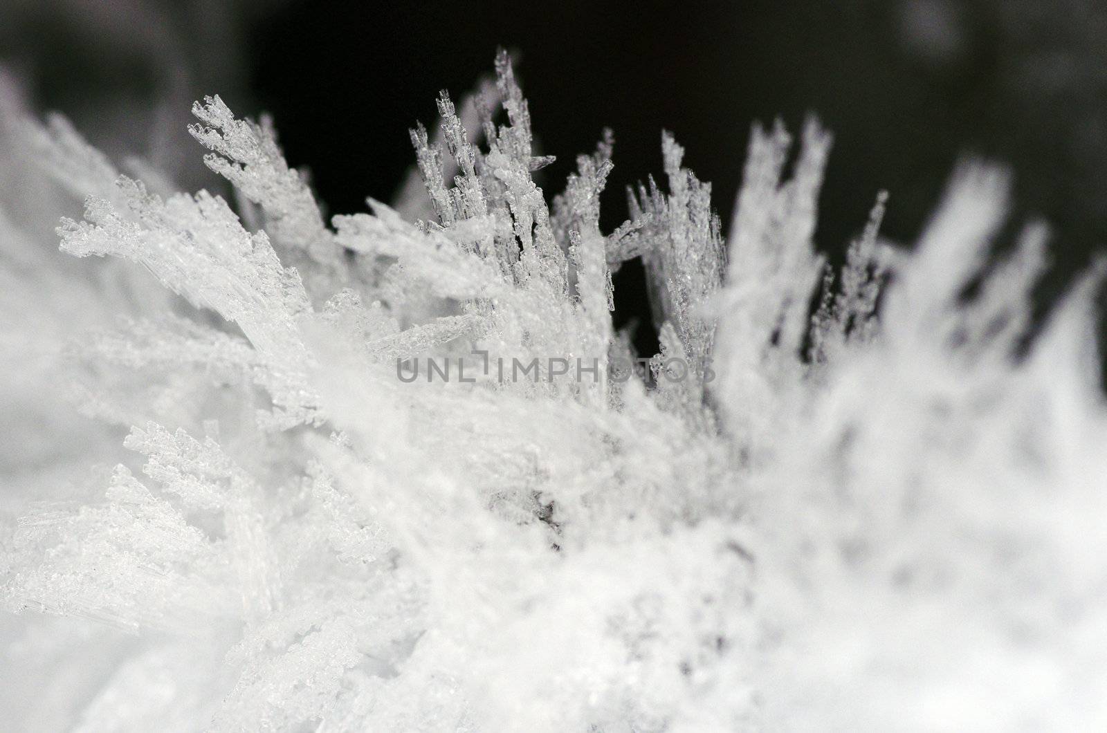 close up of ice crystals forming spiky ornaments
