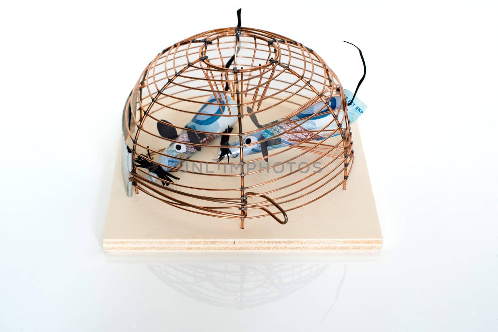 Conceptual photo of two twenty Euro bills trapped in mouse-trap - symbol for financial crisis or other business issues