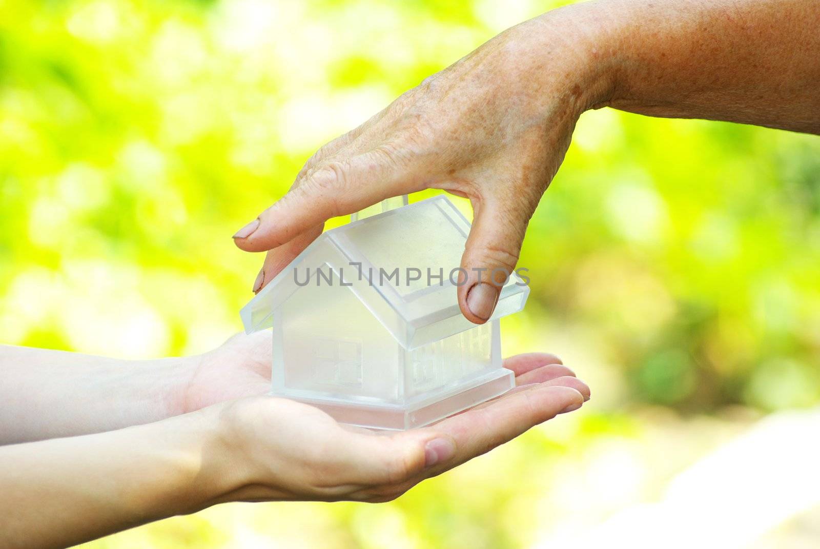 The house in human hand
