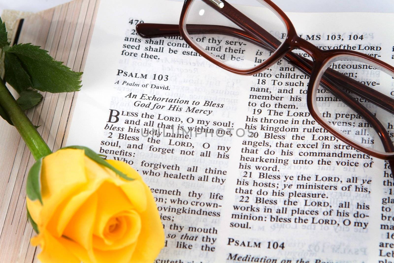 Holy Bible opened to the book of Psalms chapter 103 with a yellow rose and reading glasses.