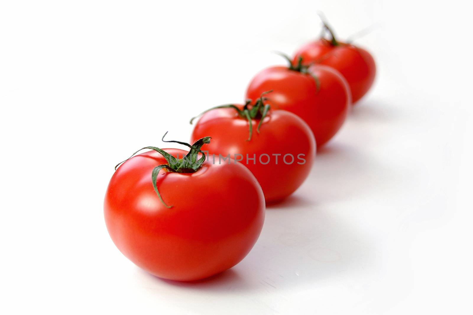 Row of fresh vine tomatoes 