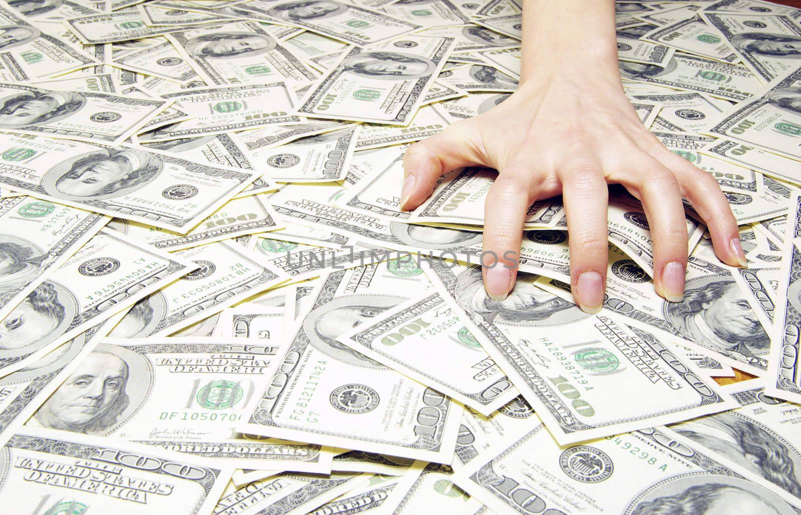 Hand with money isolated on money background