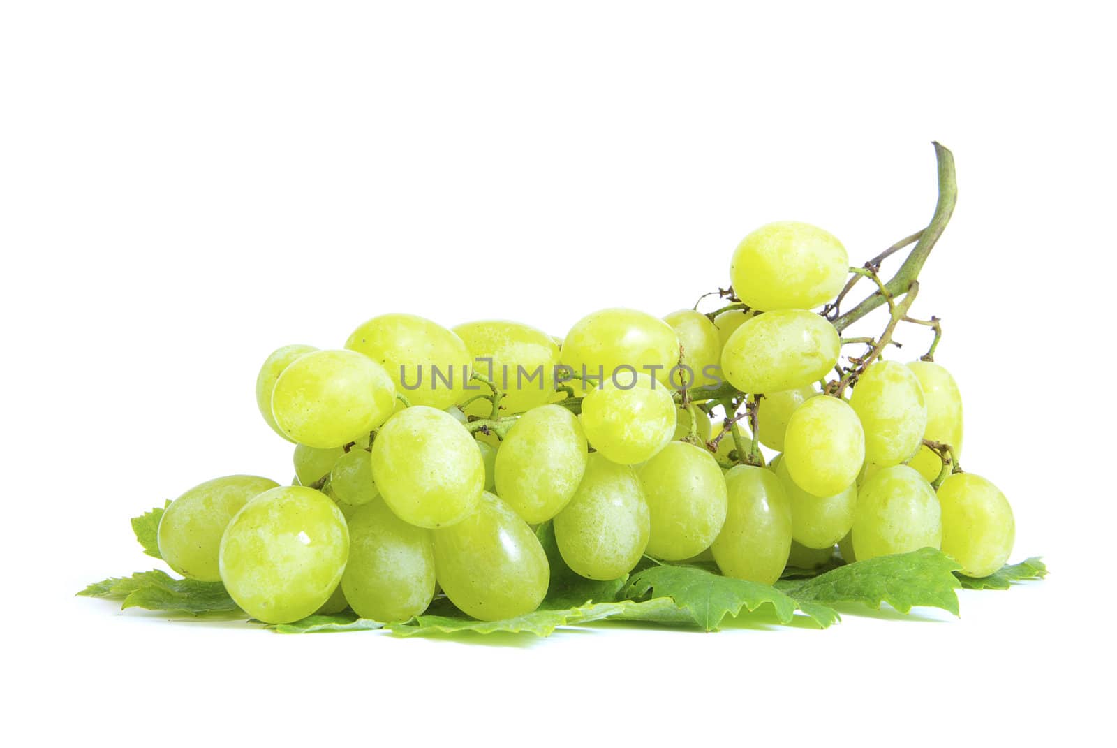 fresh grape fruits with green leaves isolated on white background