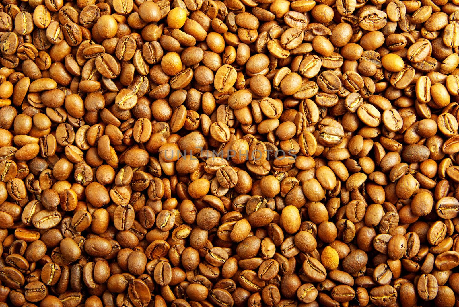 Close up of the aromatic coffe beans